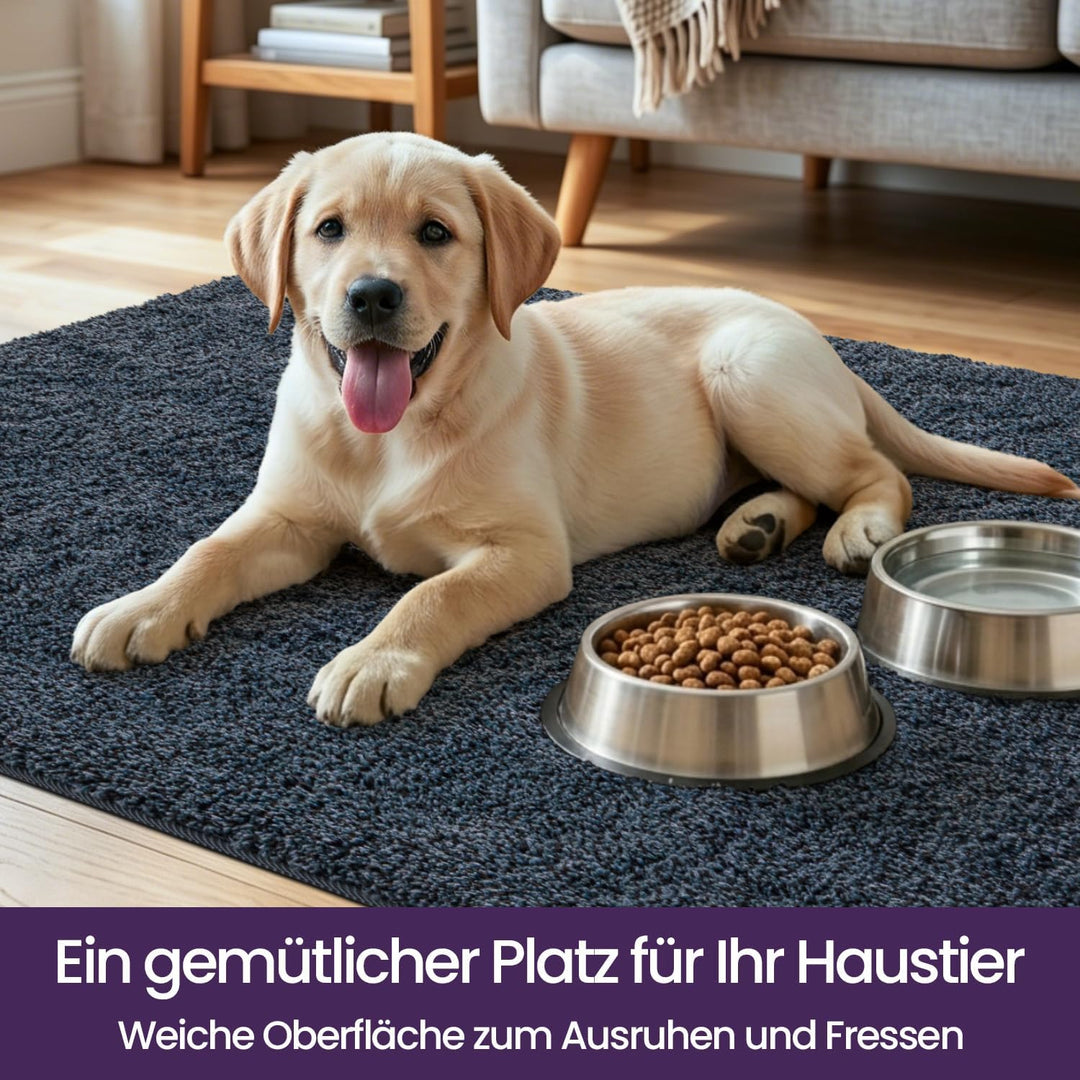 DEXI Fussmatte Innen 120 x 180 cm, rutschfeste Schmutzfangmatte, Maschinenwaschbare Fussmatte, Saugs