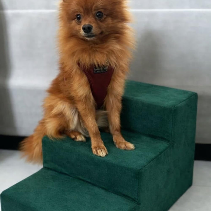 Sofatreppe für Hunde und Katzen – Hundetreppe für Bett &amp; Sofa – 3- oder 4-stufig, rutschfest &amp; wasch