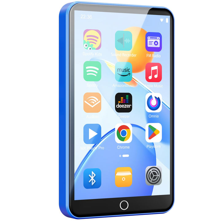 80GB MP3 Player with Bluetooth, WLAN und 4 Inch Touchscreen, Blue, Blue
