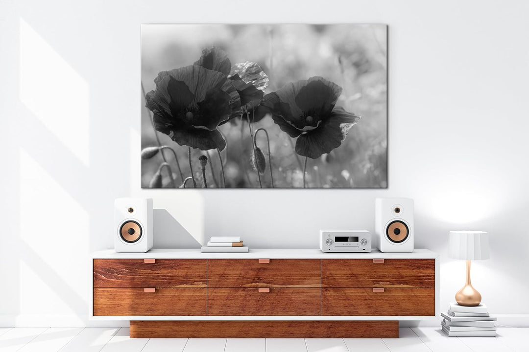 deyoli bezaubernde Mohnblumen Format: 80x60 Effekt: Schwarz&amp;Weiss als Leinwandbild, Motiv fertig ger