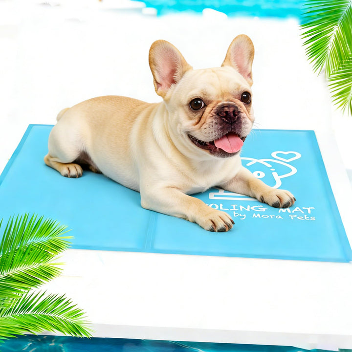 Pawtasy Kühlmatte Hunde Katzen Kühldecke für Hunde Kühlkissen mit Ungiftiges Gel für Klein Haustiere