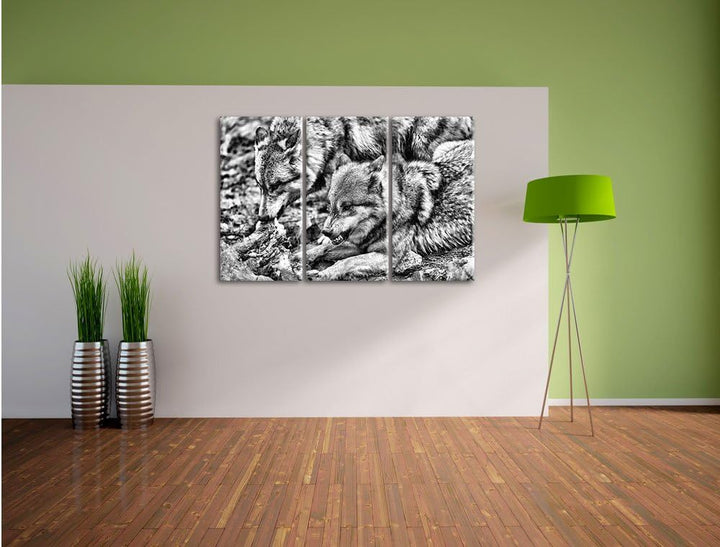 Pixxprint Monocrome, Wölfe beim Fressen 3-Teiler Leinwandbild 120x80 Bild auf Leinwand