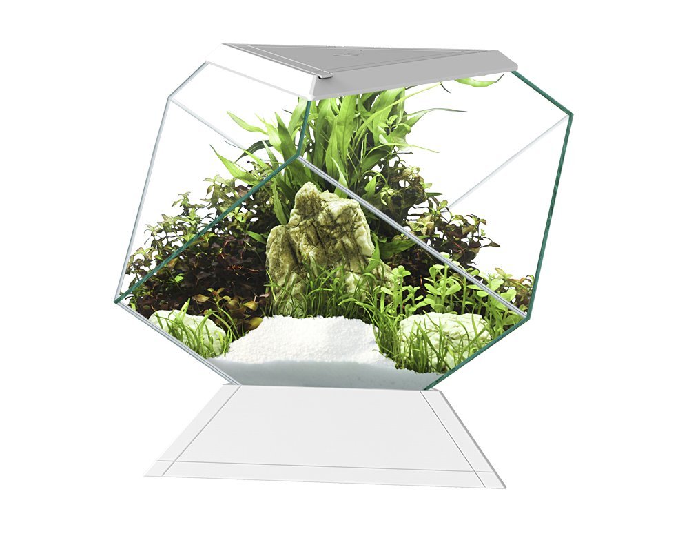 Askoll 280669 Nexus 5C Betta Life White Weiss 1 Stück (1er Pack), Weiss 1 Stück (1er Pack)
