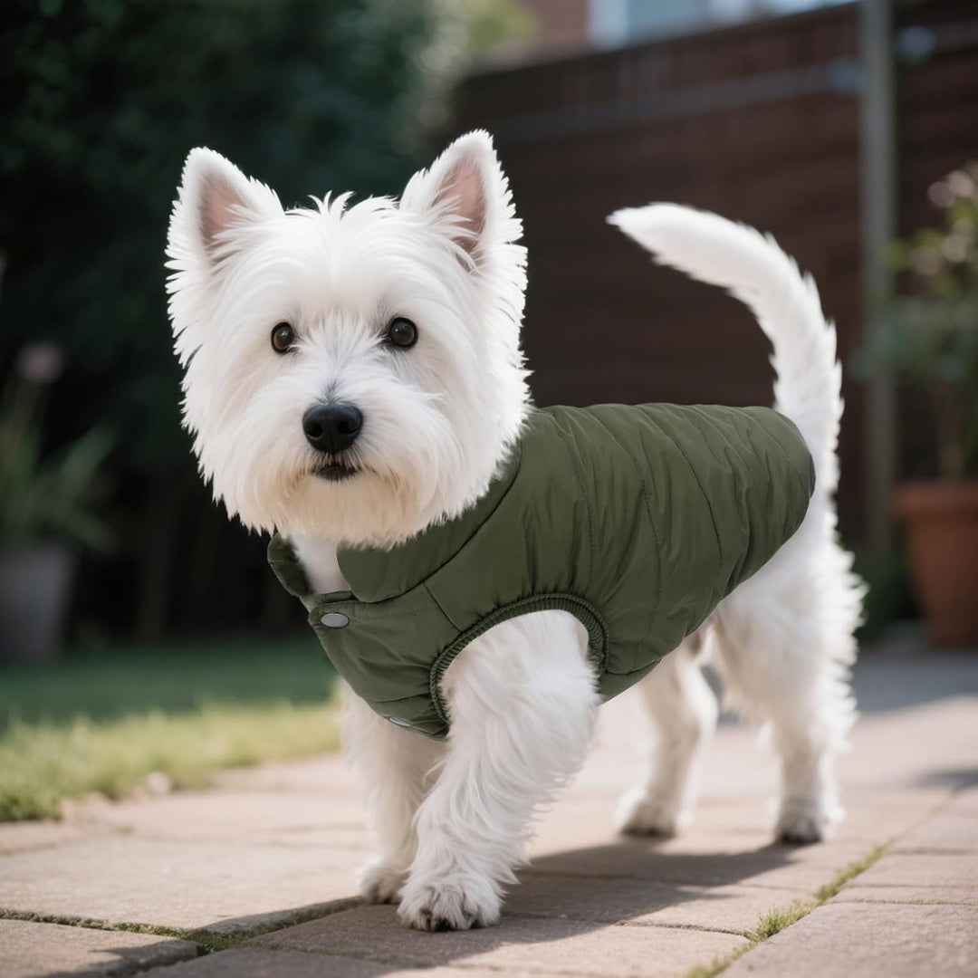ASENKU Hundemantel für Kleine Hunde,Winddichte Hundejacke Winter wasserdichte Hundemantel mit Geschi