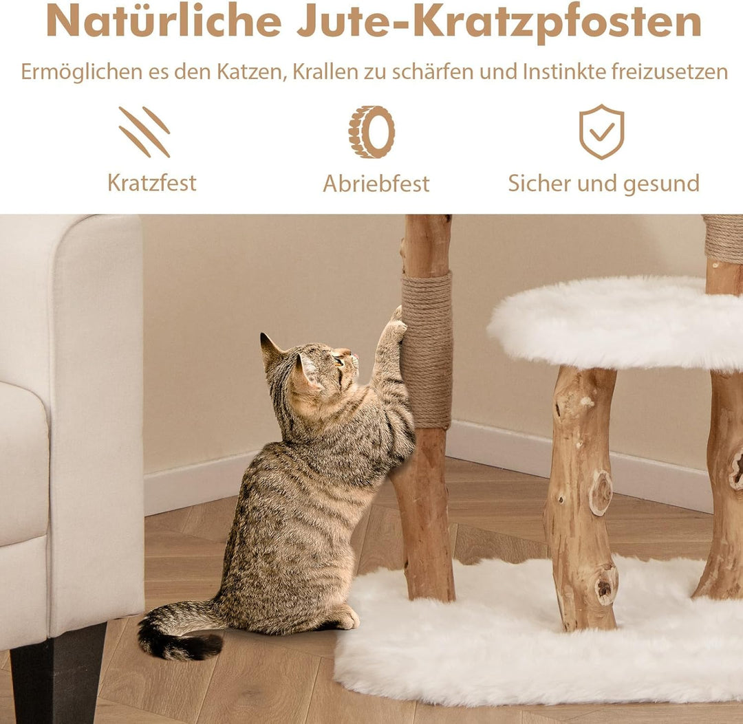 FANTASK Katzenturm Holz, Katzenmöbel mit Spielball &amp; Plüschsitzfläche &amp; 2 Plattformen, Katzenbaum mi