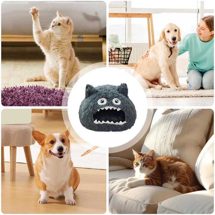 Überdachte Katzenbetten Hausförmiges Design Mit Offenem Eingang | Waschbare Haustierhöhle Mit Waschb