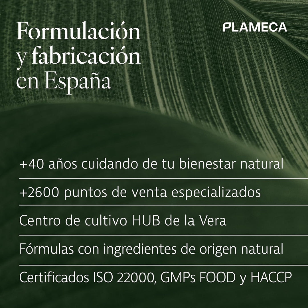 PLAMECA - Curarti Complex mit Kurkuma, Vitamin C, Magnesium und Proteinen, für Haut, Knochen, Muskel