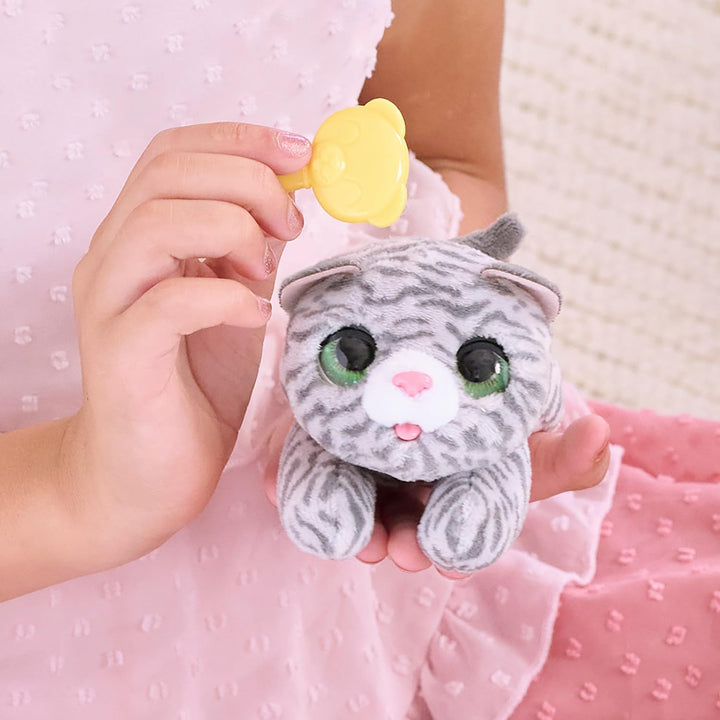 Just Play furReal Newborns Kätzchen, interaktives Haustier, kleines Plüschkätzchen mit Soundeffekten
