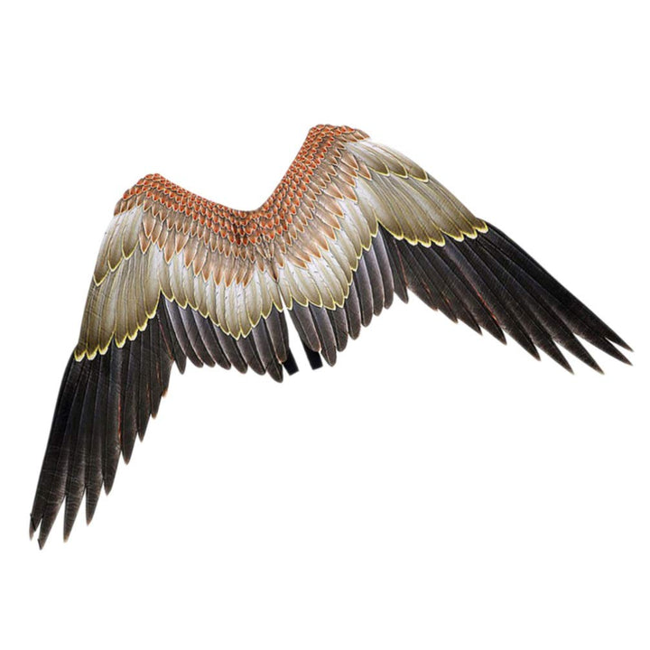 STOBOK Adlerflügel Vogel Kostüm Flügel Karneval Performance Requisite für Erwachsene Jungen Mädchen