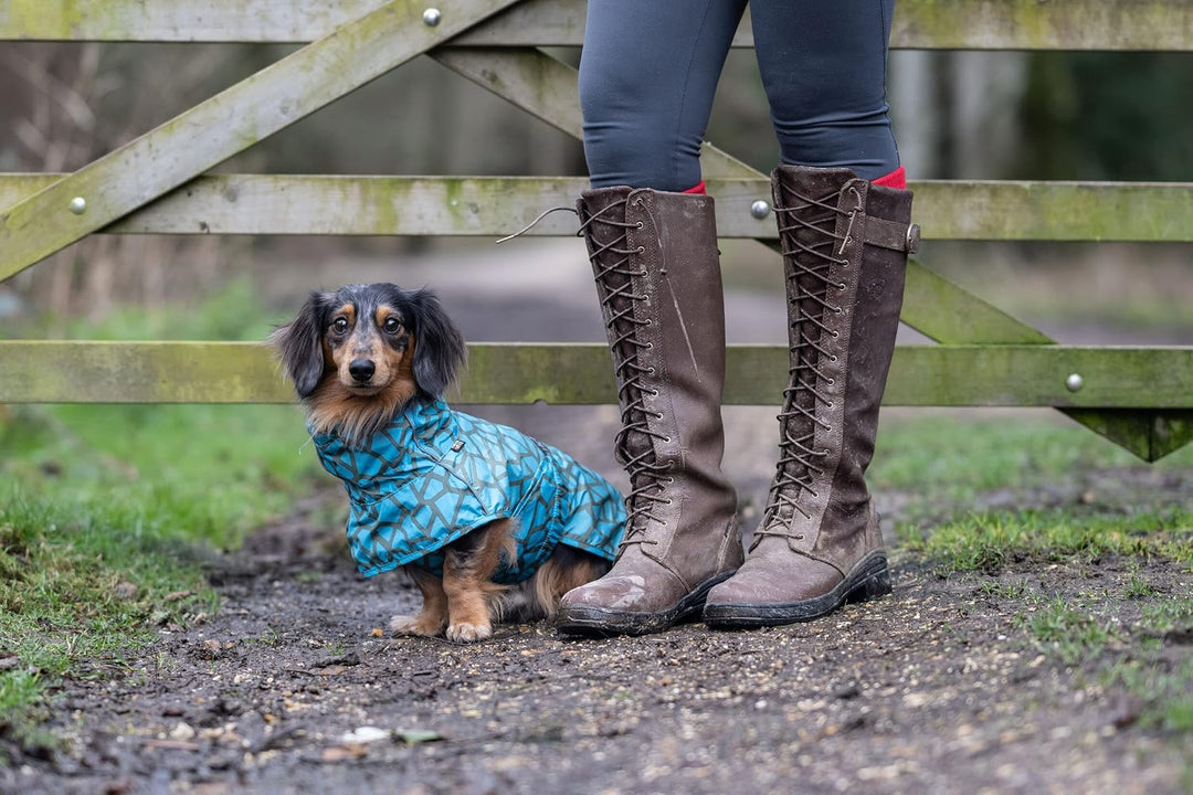 Rukka Pets HAYTON WARM Raincoat Regenmantel für Hunde Aqua 60 60 Aqua, 60 Aqua