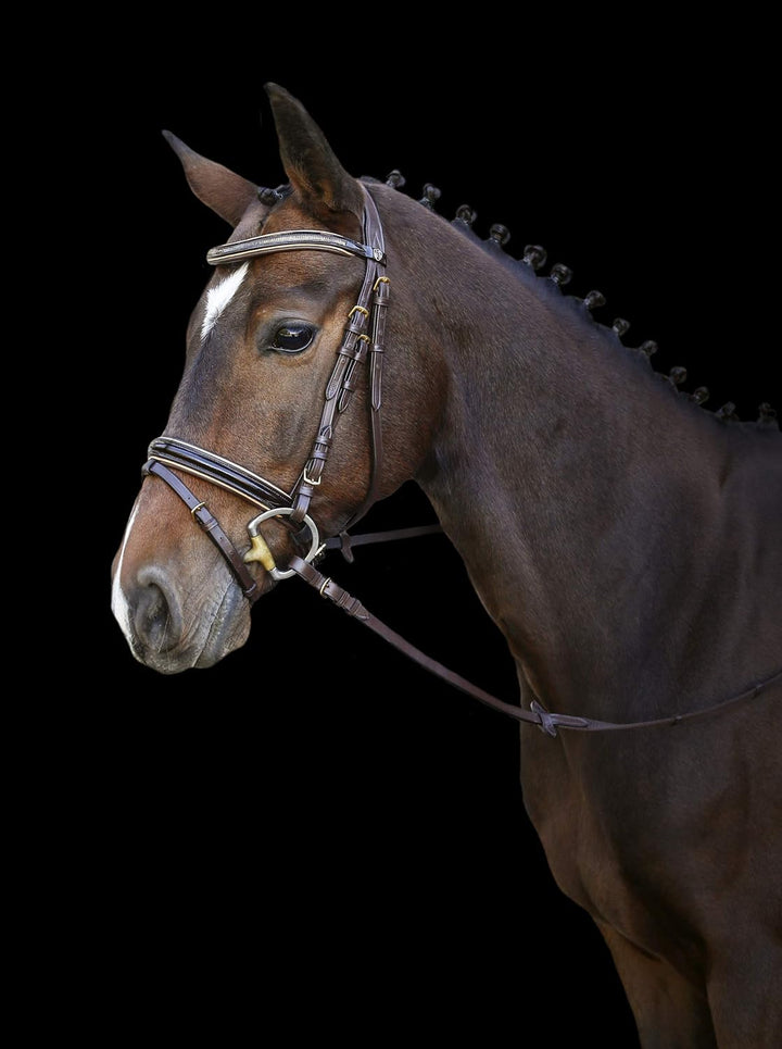 Kerbl Covalliero Trensenzaum Kingston braun mit Gold Cob, Cob