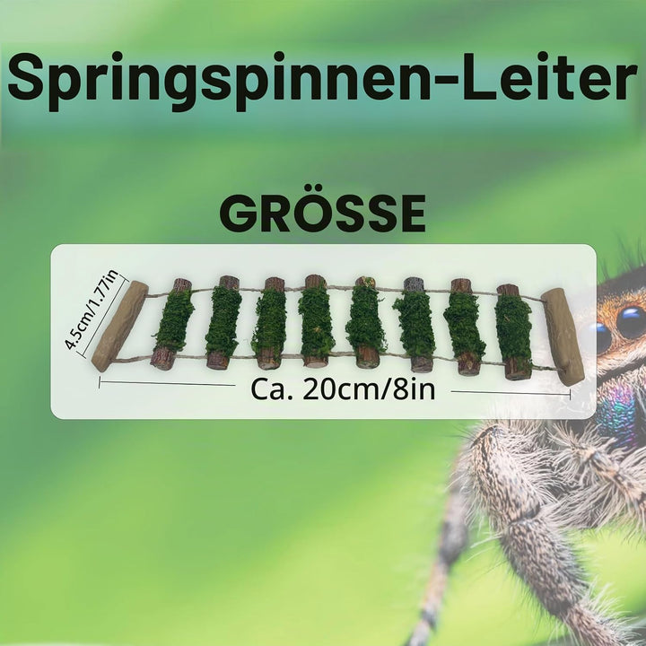 Springende Spinnenseilbrücke, eine Kletterbrücke aus Massivholz, EIN Springspinnengehege, handgefert
