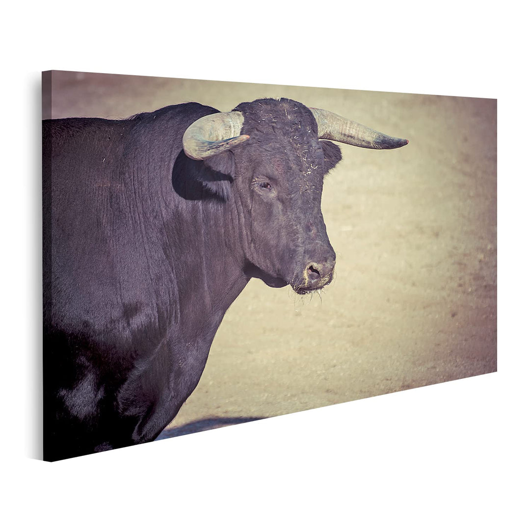 islandburner Bild auf Leinwand Stier Auf Sandboden In Spanien Bilder Wandbilder Poster Leinwand 100x