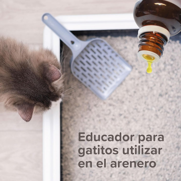 Beaphar - Educator Katze Katze Trainer