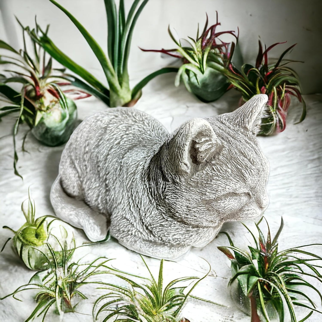 OriginalPaul Skulp &amp; Betondesign Steinfigur Katze Mia für Garten und Terrasse aus frostsicherem Stei