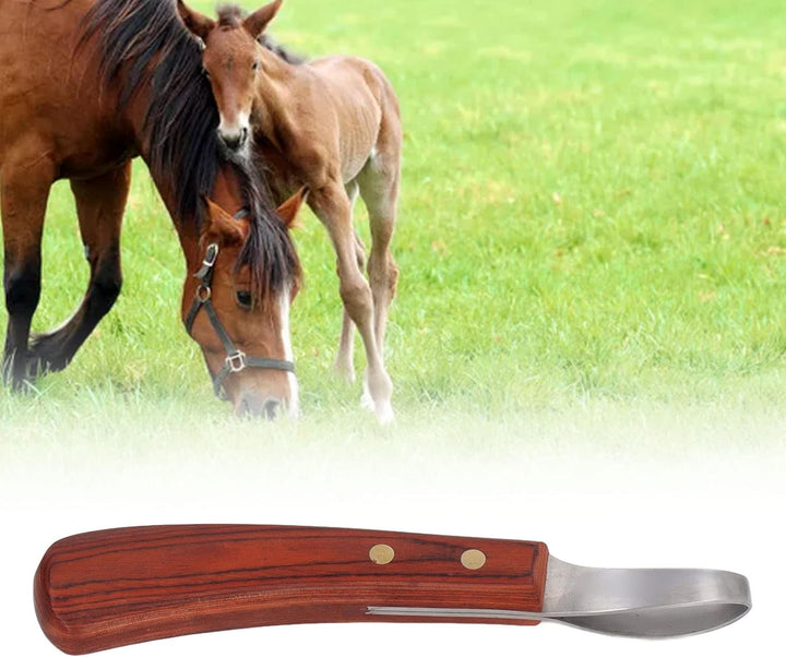 FOUF Hufmesser, Zweischneidiges Hufmesser aus Leder mit Gummi-Holzgriff, Professionelle Hufschmied-W