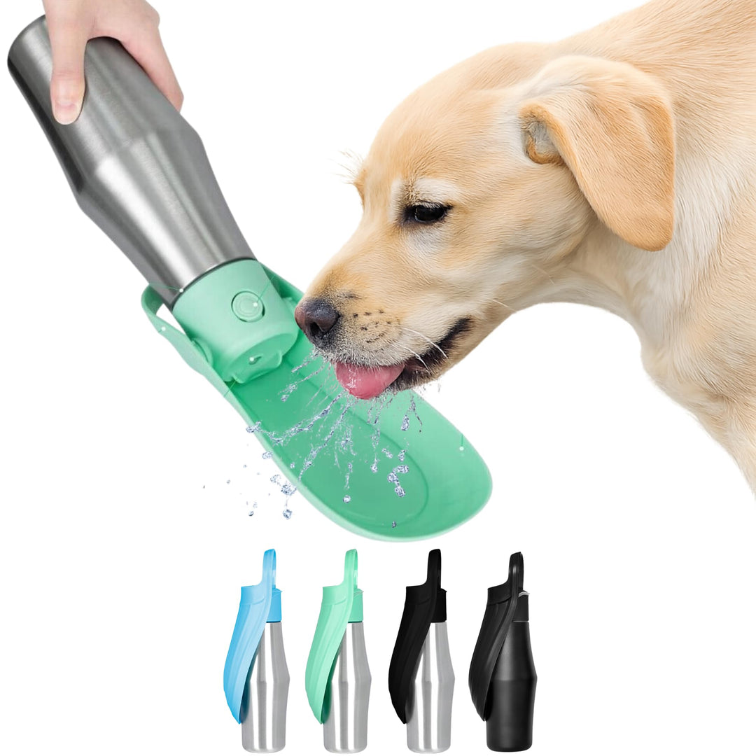 Hundetrinkflasche Edelstahl, Hellgrün, 800 ml Hellgrün 800ml, Hellgrün 800ml
