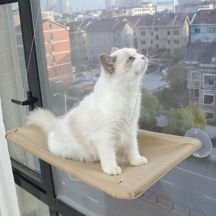 Katzen Hängematte Fensters, Katze Fensters Barsch Mits 4 Starken Saugnäpfen Platz Sparende Katzen Hä