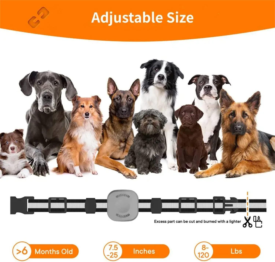 Generisch Hundeausbildung,Agility-Ausrüstung für Hunde, Sicherheit Beruhigungshalsband für Hunde All
