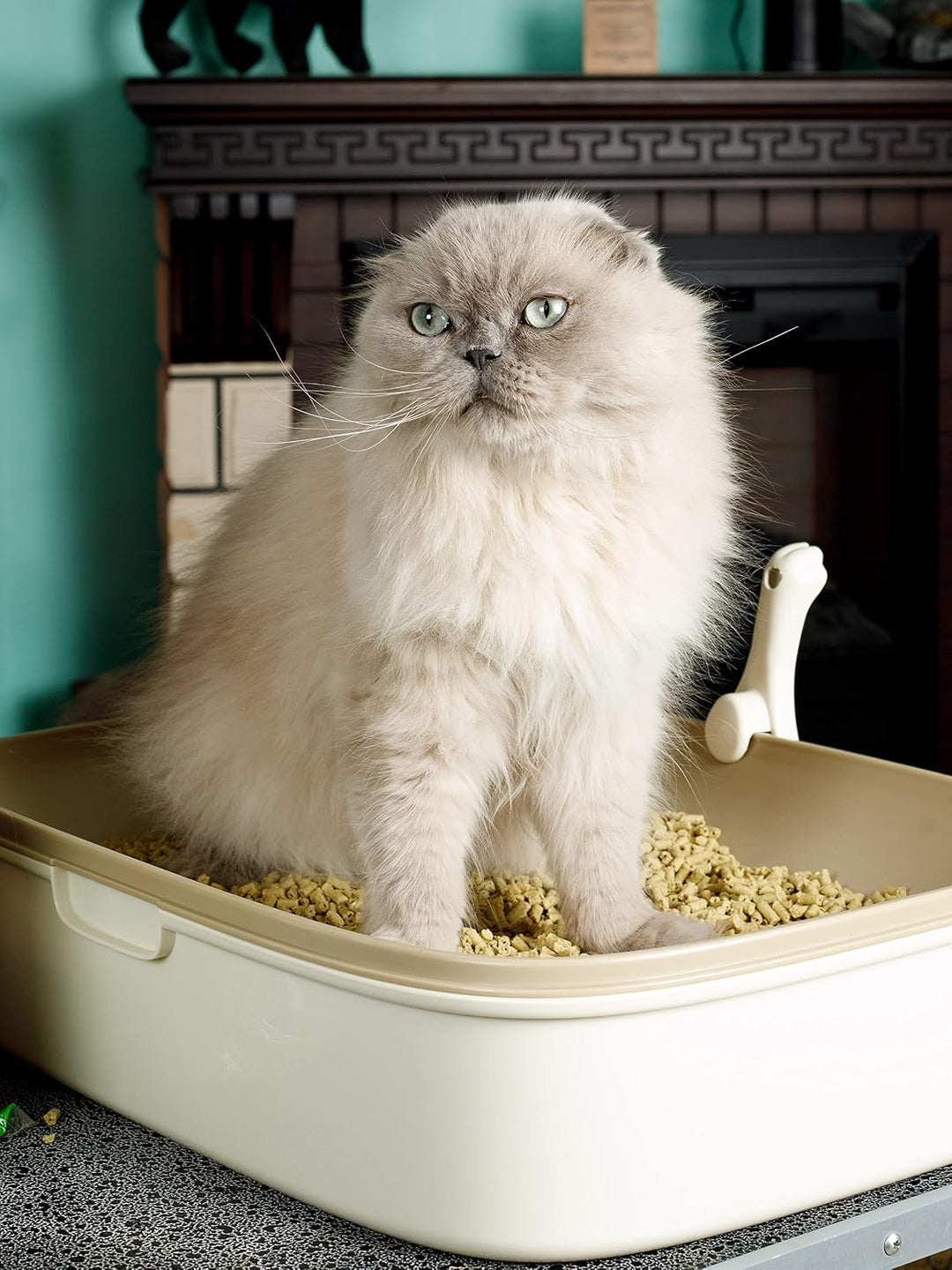 Pelleted Cat Litter, 7L, 6L,7 litres (Katzenstreufüller auf Basis von japanischem Tee.)