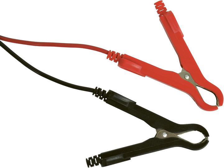 Absaar Pro Batterieladegerät, 6/12 V, Red, 6A AA 635676, 6A