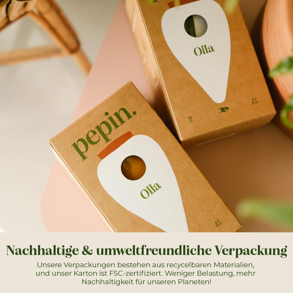 Pepin | Olla Terrakotta zum Pflanzen | Automatische und umweltfreundliche Bewässerung Für Zimmerpfla