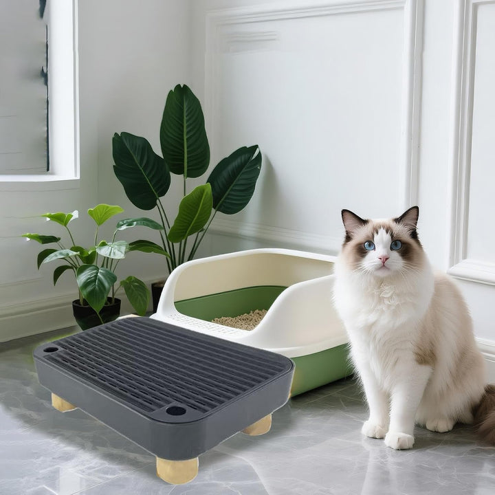 Katzenklo Stufe - Kätzchen Katzenklo Treppe Mit Filterfunktion,Abnehmbare Kätzchen Rampe | Für Innen