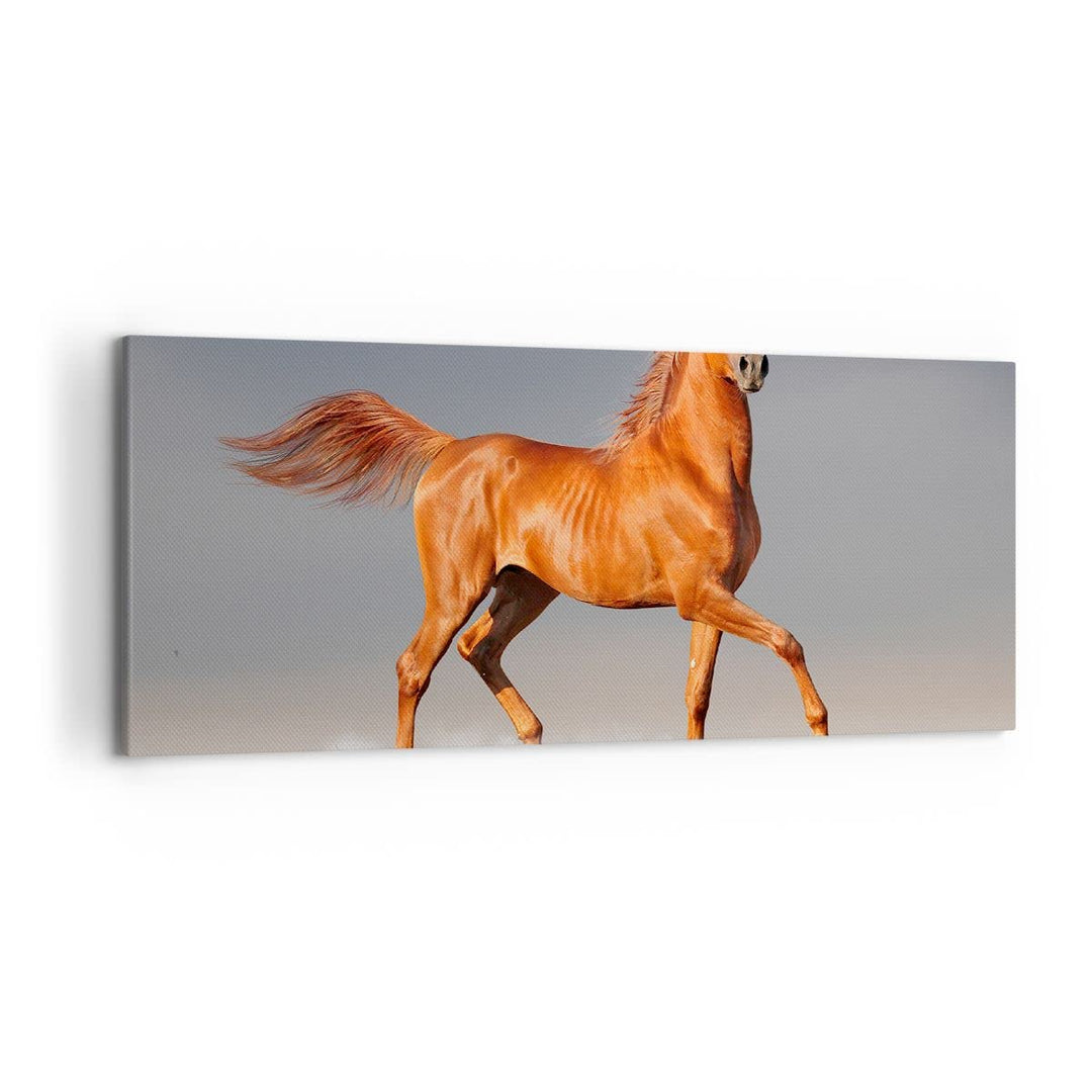 Wandbilder Dekoration Wohnzimmer Tiere Pferd Galopp Geschwindigkeit Bilder auf Leinwand 120x50cm Lei