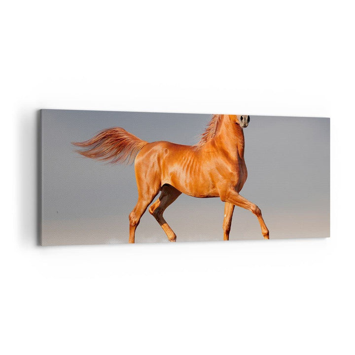 Wandbilder Dekoration Wohnzimmer Tiere Pferd Galopp Geschwindigkeit Bilder auf Leinwand 120x50cm Lei