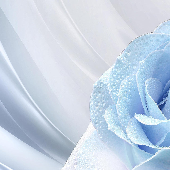 Runa Art Wandbilder Blumen Rose 5 Teilig Bild auf Vlies Leinwand Deko Wohnzimmer Vintage Blau Grau 2