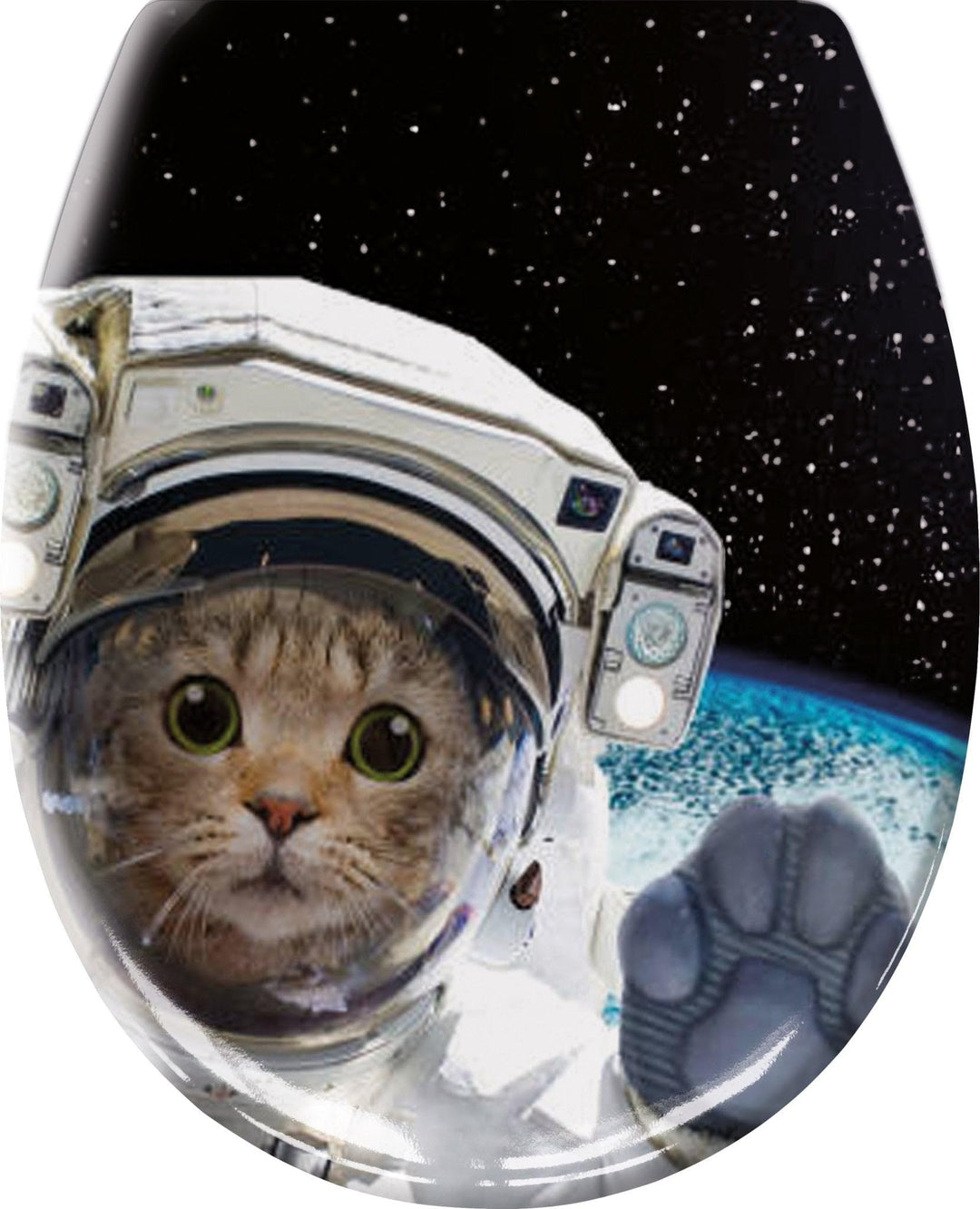 Cosmo Cat