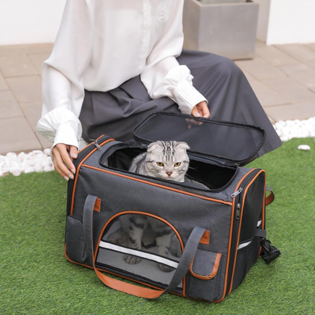 Transporttasche für Katze Hund bis zu 8kg, Faltbare Tragebox für Mittel Kleine Haustiere im Flugzeug