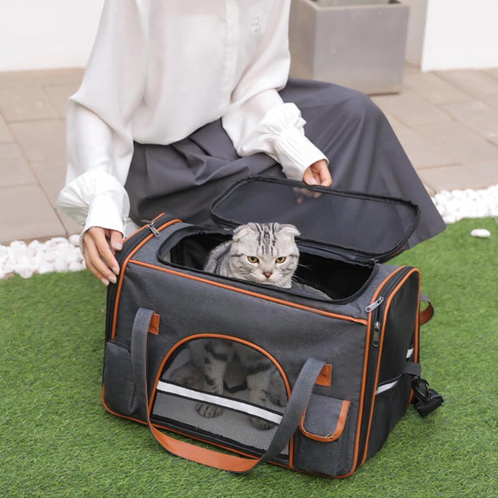Transporttasche für Katze Hund bis zu 8kg, Faltbare Tragebox für Mittel Kleine Haustiere im Flugzeug