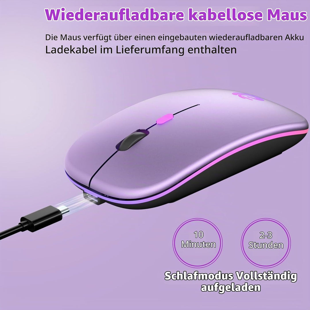 BQSS Maus Kabellos, 2,4 GHz mit USB-Empfänger, 1600 DPI Optical Tracking, Quiet Clicks, Wiederauflad
