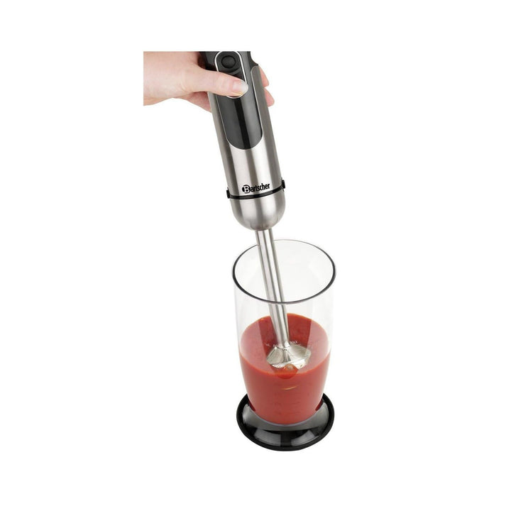 Stabmixer 130206
