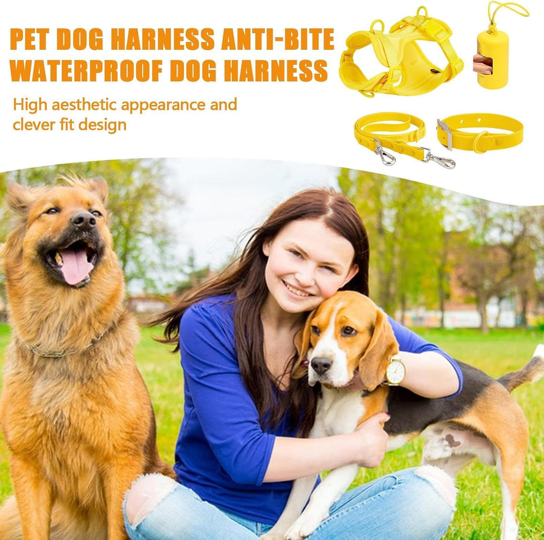 Hundegeschirr-Set, mittelgrosse Hunde, Haustiergeschirr, Halsband und Leine, Hundegeschirr mit Leine