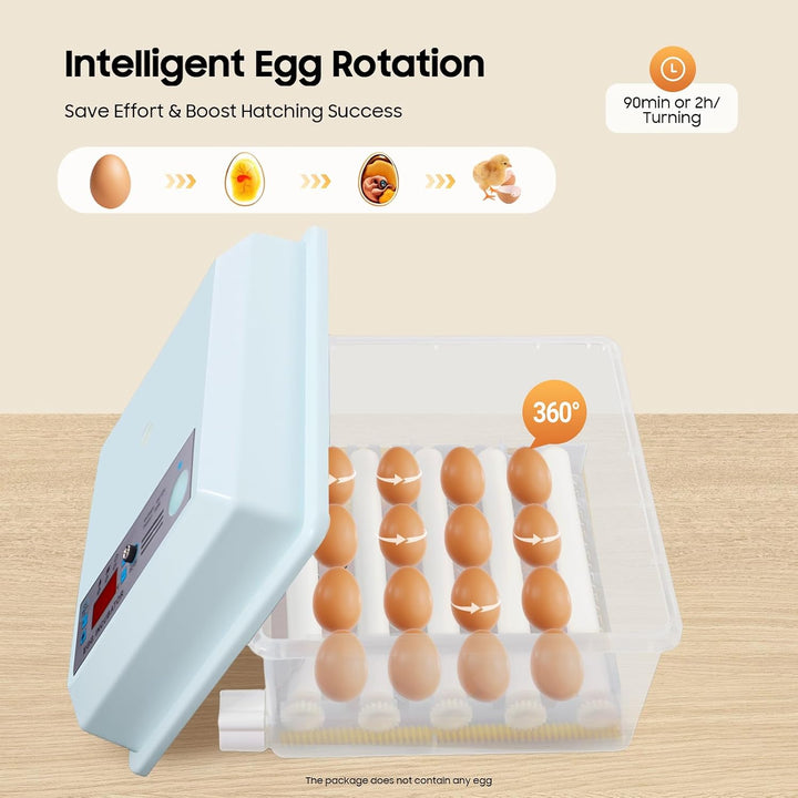 16-Eier-Hühnerbrutmaschine, Haushaltsbrutmaschine, automatische Brutmaschine für zu Hause, mit Tempe
