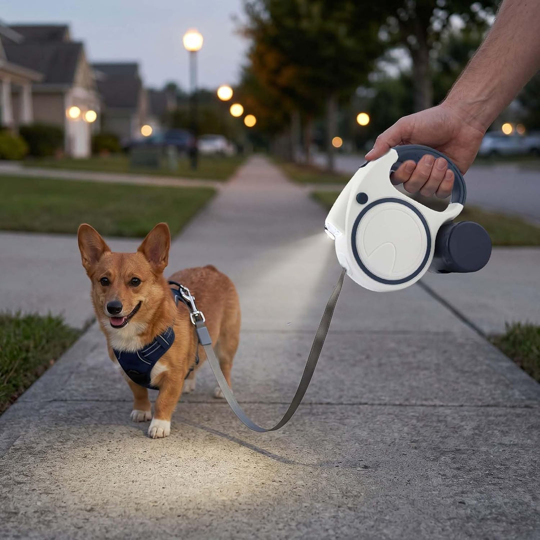 Hundeleine mit LED 5m, Rollleine für Hunde bis 10-25kg, Hundeleine Ausziehbar mit rutschfest Griff,