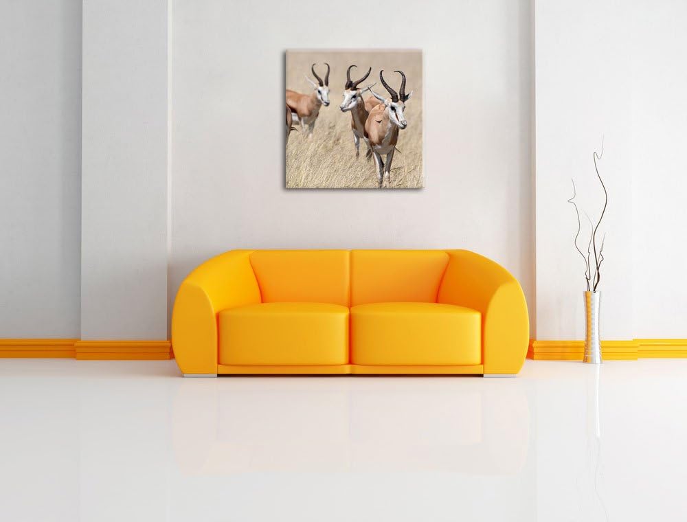 Pixxprint Tiere in Savanne Rehe Afrika, Format: 70x70 auf Leinwand, 70x70
