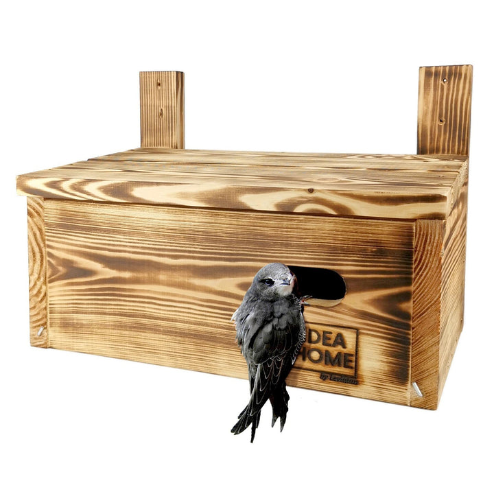IDEA HOME APUS Nistkasten für Mauersegler, Vögel, aus Massivem-Holz - Verschraubt, Mauersegler