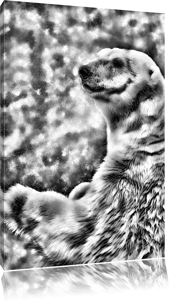 Pixxprint Monocrome, Stehender Eisbär, Format: 100x70 auf Leinwand, 100x70
