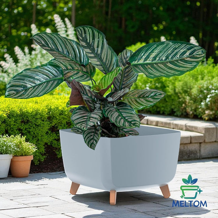 MELTOM Blumentopf Schale mit Füssen Einsatz Blumenschale Quadratisch Übertopf, 38 x 38 x 27 cm (Grau
