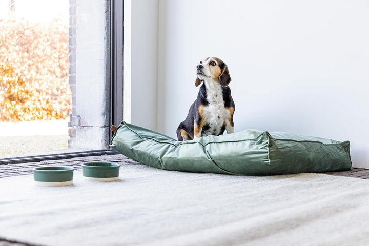 Designed by Lotte DBL Nalino Liegekissen, Hund, Samt, grün, 100x70x15 cm, Grün