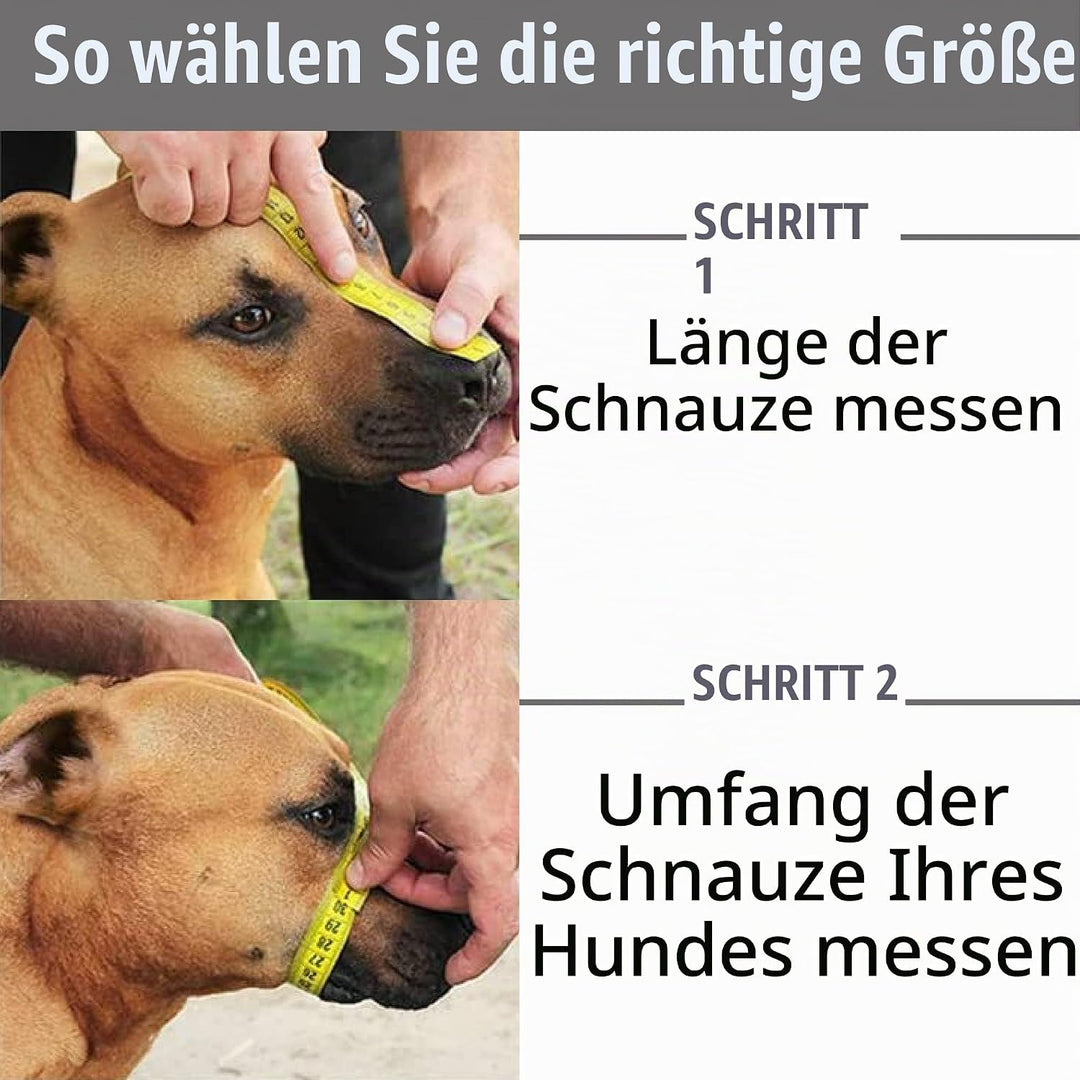 BronzeDog Maulkorb für Hunde aus Metall – Amstaff Drahtkorb mit verstellbaren Lederriemen für grosse