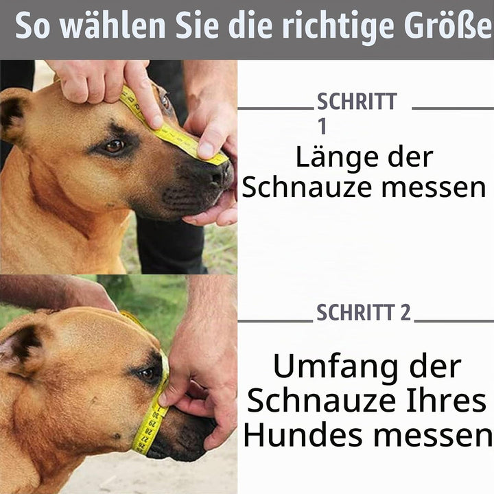 BronzeDog Maulkorb für Hunde aus Metall – Amstaff Drahtkorb mit verstellbaren Lederriemen für grosse