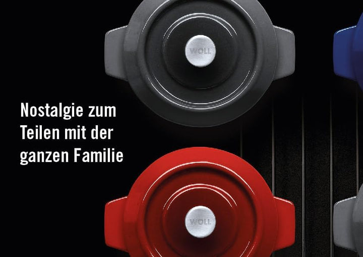 WOLL – Iron Gusstopf Ø 24 cm grau mit Deckel &amp; Silikongriffen – emailliertes Gusseisen, induktionsge