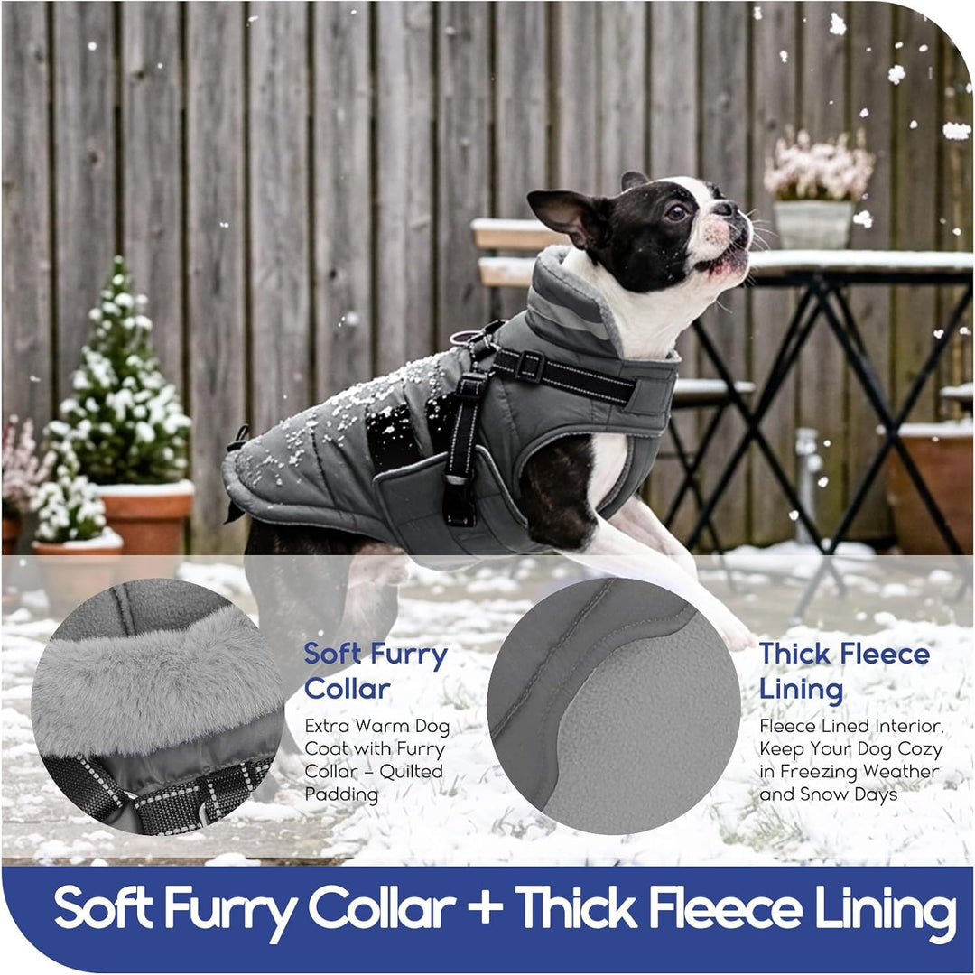 ASENKU Hundemantel Winter mit Geschirr M Wasserdicht für mittelgrosse Hunde M Grau, M Grau