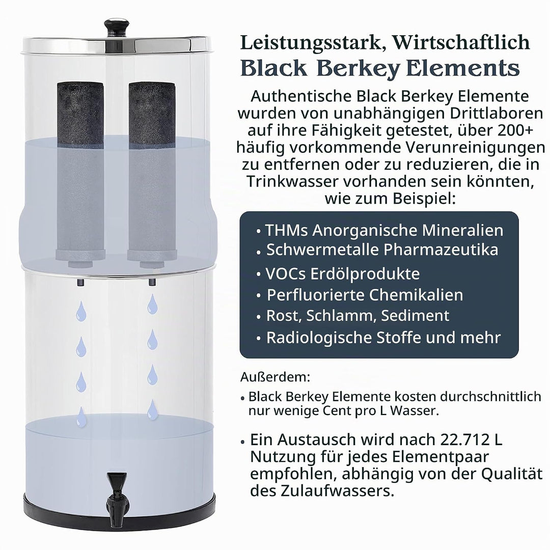 Berkey BK4X2-BB Big Berkey Stainless Steel Water Filtration System with 2 Black Filter Elements by