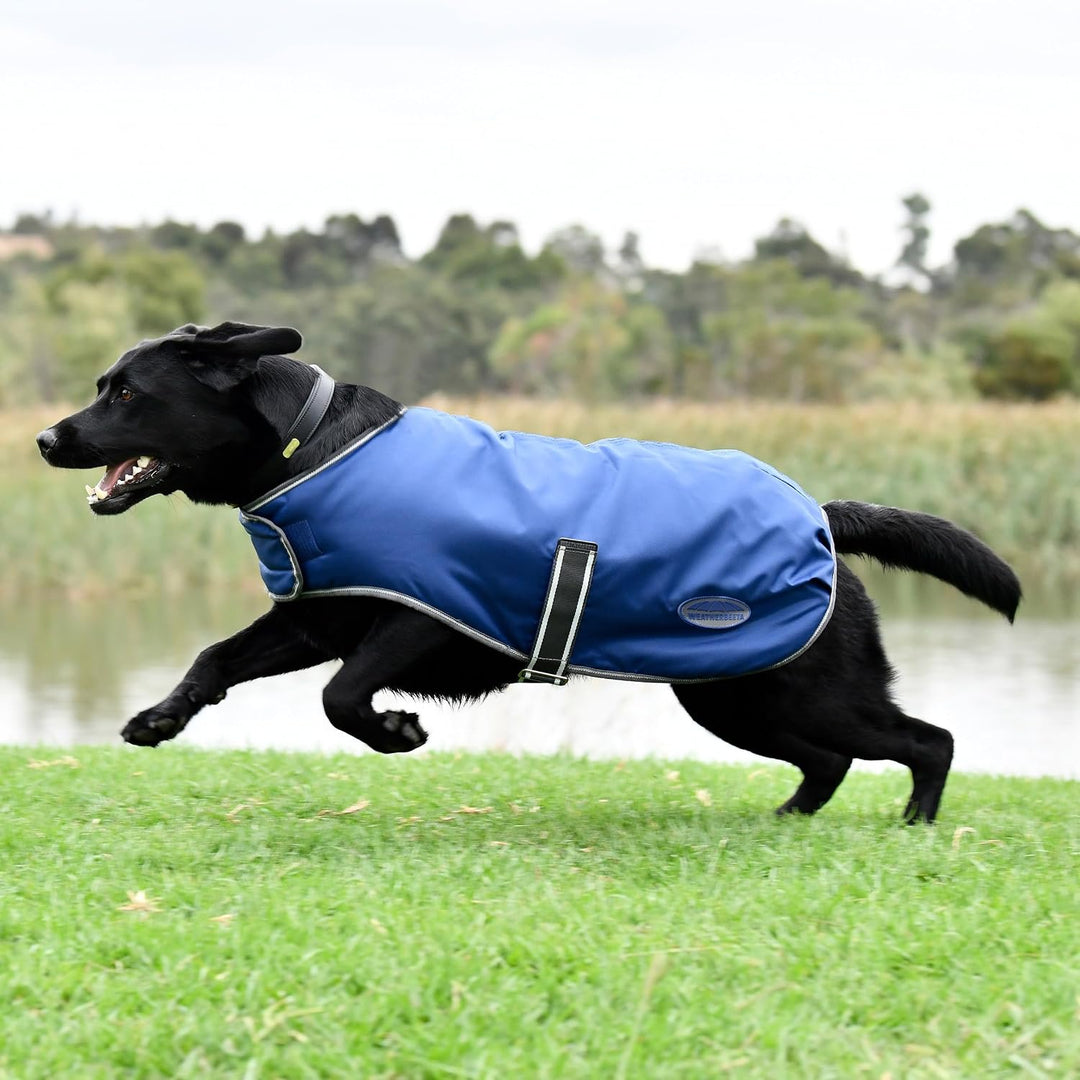 Weatherbeeta Comfitec Windjacke Frei Hundemantel - Dunkelblau/Weiss/Grau - 25cm, 25cm