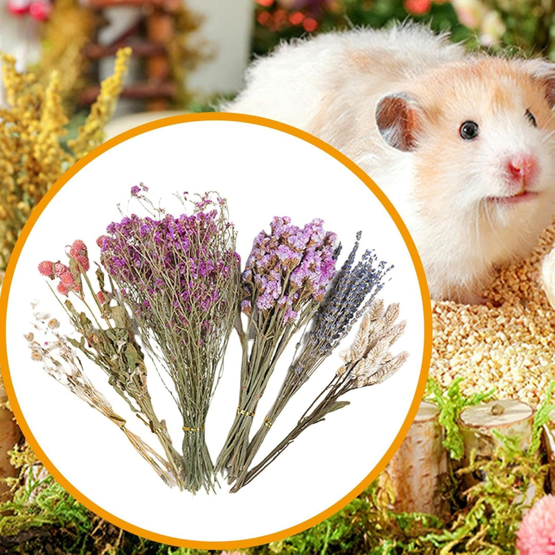 Hamster Einstreu Blumen,Hamster Heublumen Einstreu,25cm Trockenblumen Für Hamster,Blumen Hamster Ein